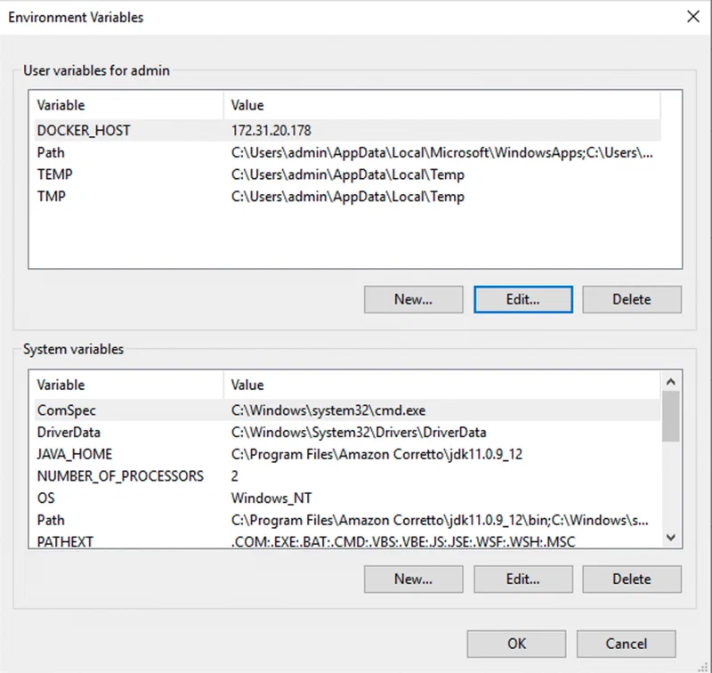 Docker Host Environment Variable