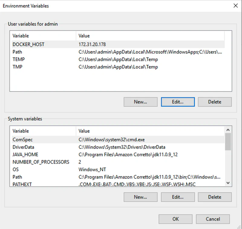 Docker Host Environment Variable