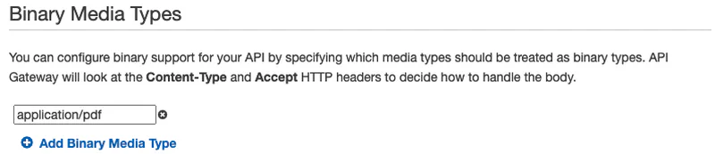 Binary Media Types