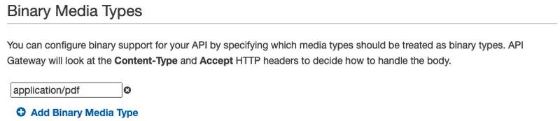 Binary Media Types